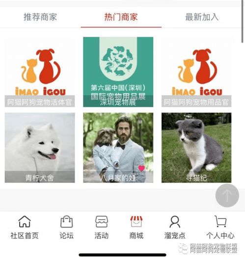 宠物一站式服务详情目录表