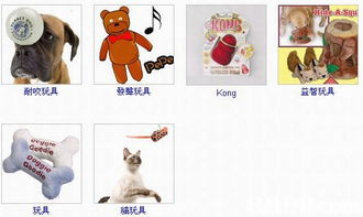 Forever Pets 一站式宠物生活解决方案，为爱宠提供全方位呵护