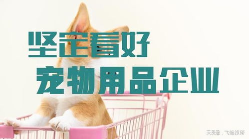 告别红海竞争，聚焦宠物用品与服务 三个硬核逻辑揭示企业转型新路径