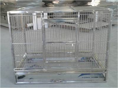 专业宠物笼工厂 打造高品质不锈钢鸟笼与鹦鹉笼的卓越服务